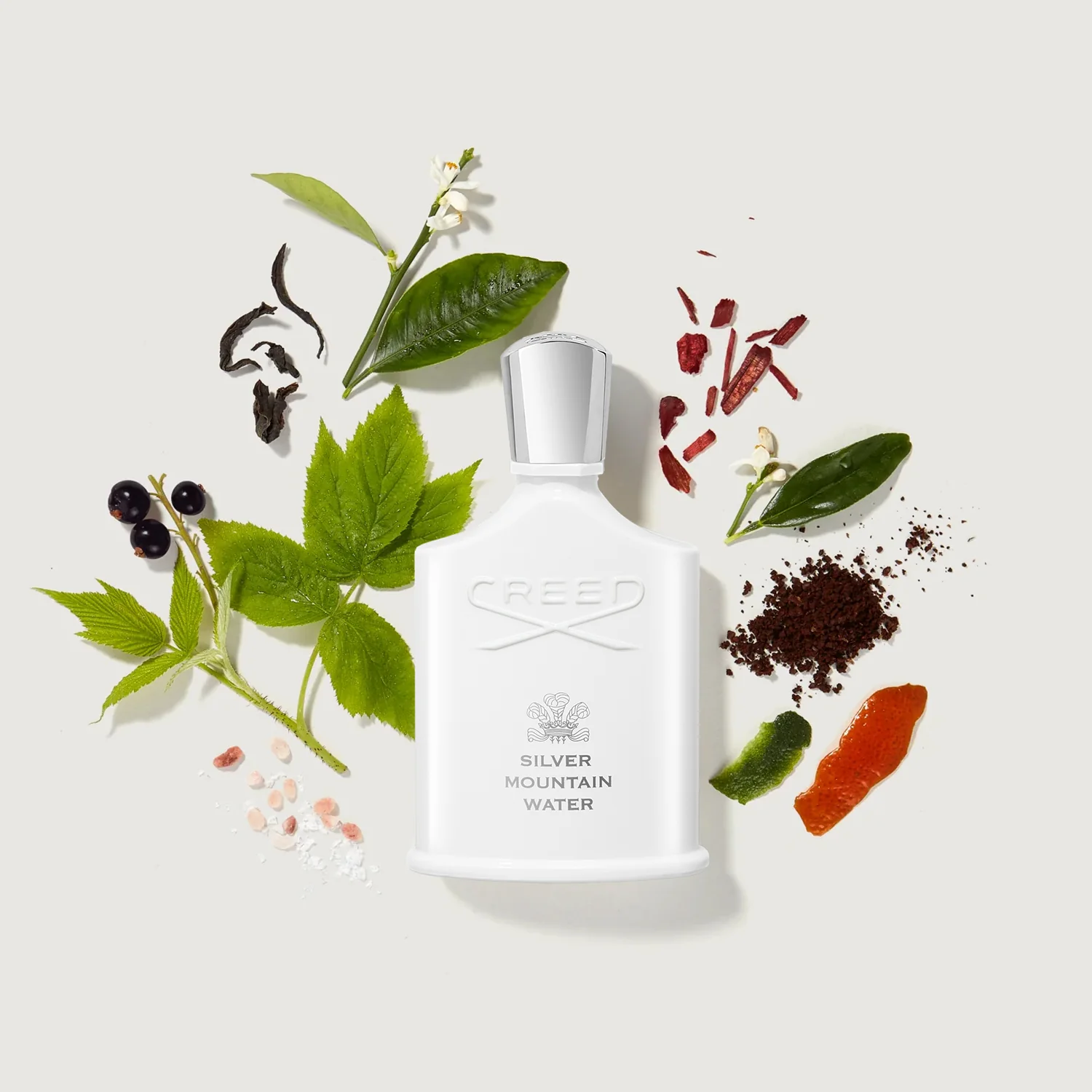 Silver Mountain Water - Image 3